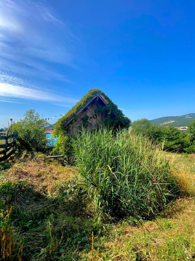 فيلا La Colline Seive Boulieu-les-Annonay المظهر الخارجي الصورة